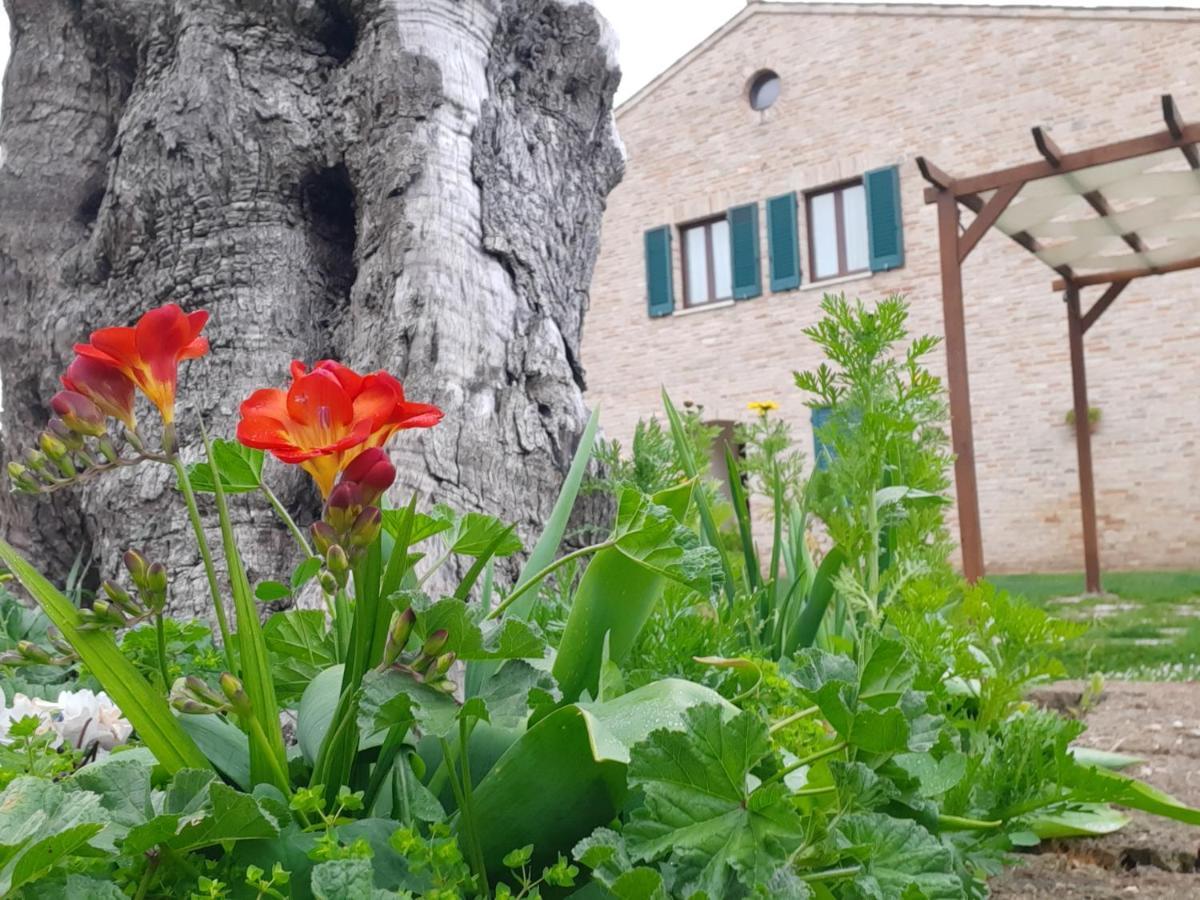 Апарт отель Casale Del Conero Порто-Реканати Экстерьер фото